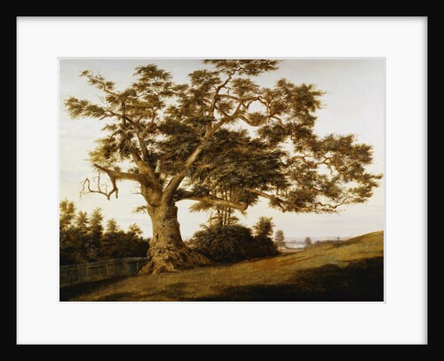 The Charter Oak by Charles de Wolfe Brownell