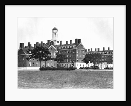 Dormitories at Harvard University by Anonymous