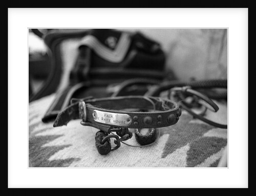 Dog Collar Belonging to Fala, President Franklin D. Roosevelt's Dog by Anonymous