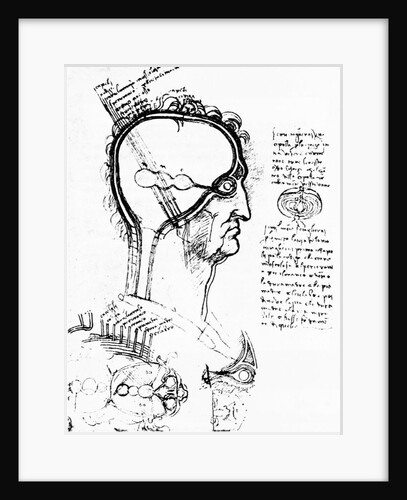 Anatomical mechanics of the eye by Anonymous