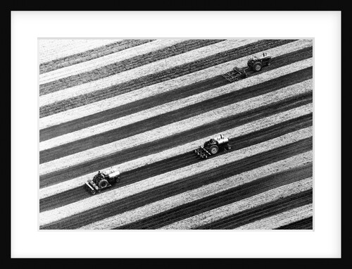 Aerial View Of Skip-Row Planting by Anonymous