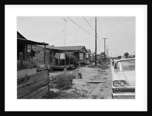 Poverty in America: Shacks in Belzoni, Mississippi 1967 by Anonymous