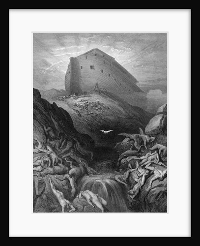 Dove Sent Forth From the Ark by Gustave Dore