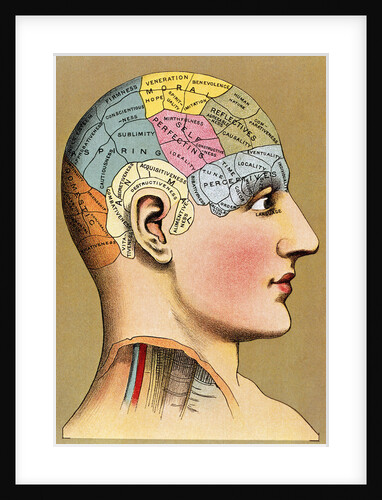 Color Lithograph of Phrenology Head with Human Capacities by Anonymous