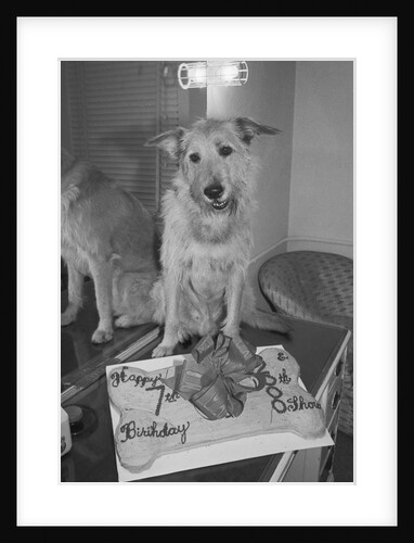 Sandy the Dog, from "Annie" by Anonymous