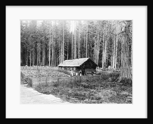 Homesteader In Home In Forest by Anonymous
