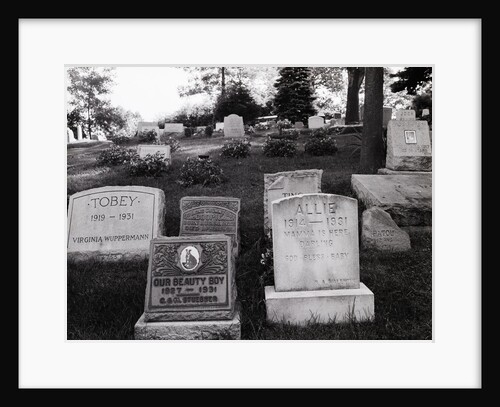 Hartsdale Canine Cemetery by Anonymous