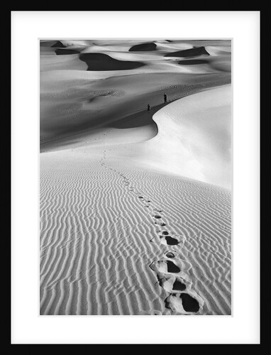 Footprints on Desert Dunes by Anonymous