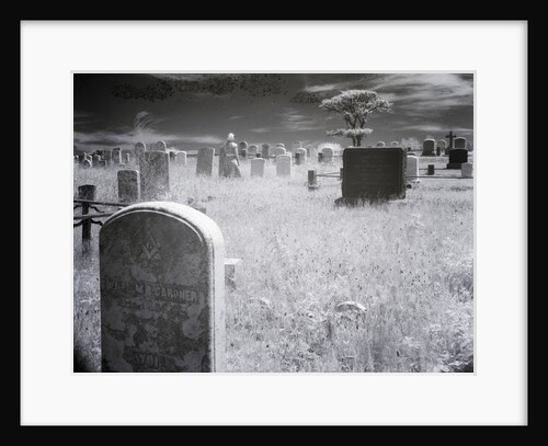 Overgrown Cemetery by Anonymous