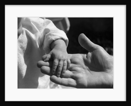 Infant's Hand in Man's Hand by Anonymous
