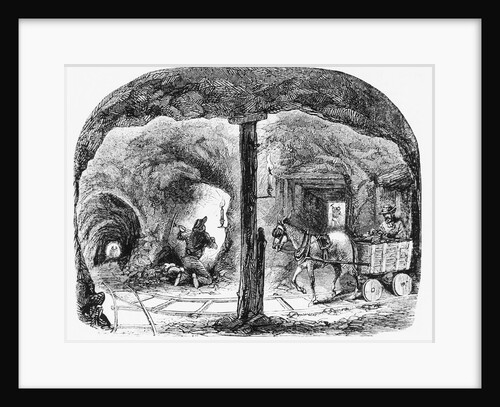 Mule Pulls Cart Thru Ca Gold Mine: Illus by Anonymous