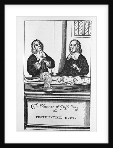 The Manner of Dissecting the Pestilentiall Body Illustration by Anonymous