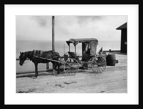 Old Time Horse And Buggy by Anonymous