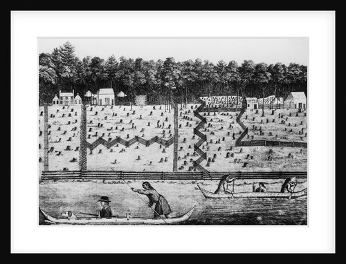 Early American Settlement by Anonymous