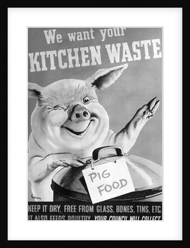 We Want Your Kitchen Waste Poster by Anonymous