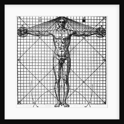 Diagram Of Man'S Proportions; On Graph by Anonymous