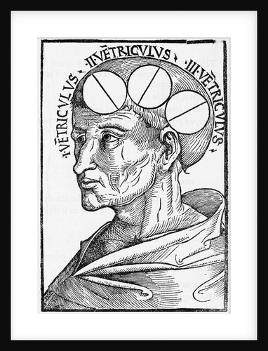 Woodcut of Cell Doctrine by Anonymous