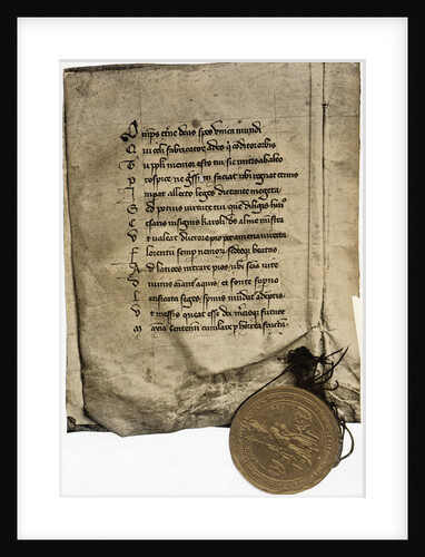 Golden Charter Of Emperor Charles Iv by Anonymous