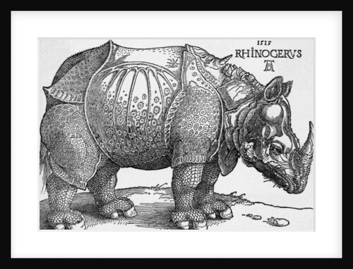Rhinoceros by Albrecht Dürer