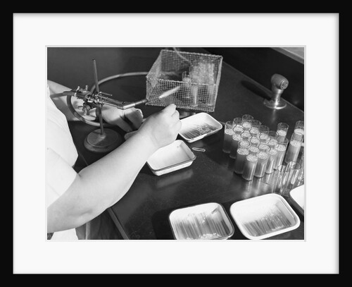 Capillary Tubes of Smallpox Vaccine by Anonymous