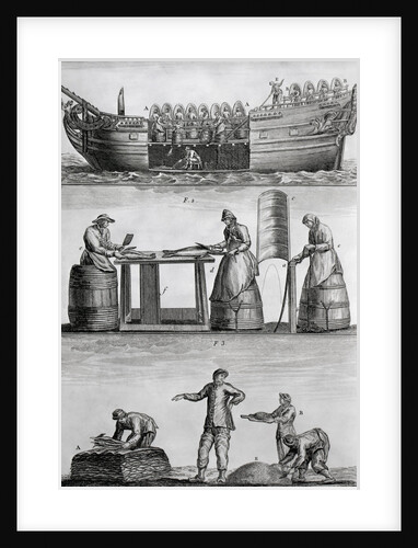 Three Panels Of Fish Industry In 1770 by Anonymous