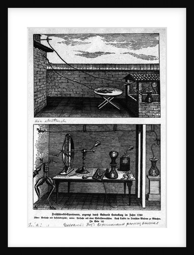 Experiment Showing Animal Magnetism by Anonymous