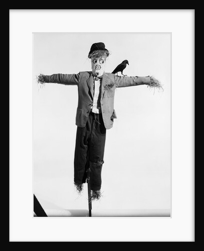 Scarecrow with Crow on His Shoulder by Anonymous