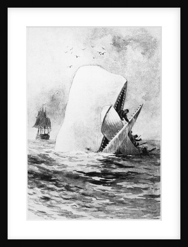 Illustration of the White Whale by A. Burnham Shute