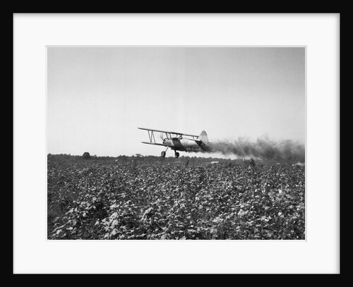 Crop Dusting Plane Flies Over Field by Anonymous