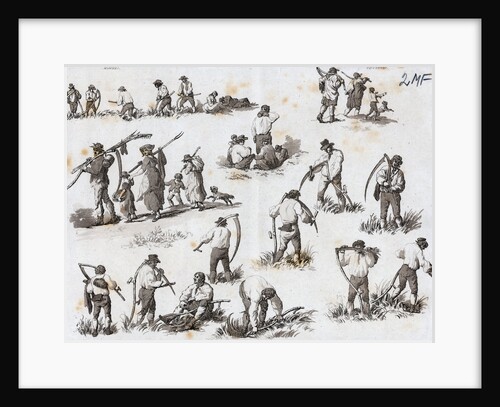 Harvesting Scenes Reapers With Scythes by Anonymous