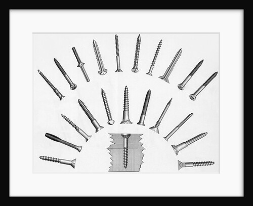 Various Screws Arranged Radially by Anonymous