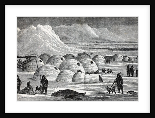 Innuit Igloos, or Snow Village Illustration by Anonymous