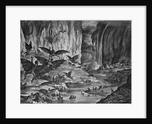 Lunar Animals And Other Objects by Anonymous