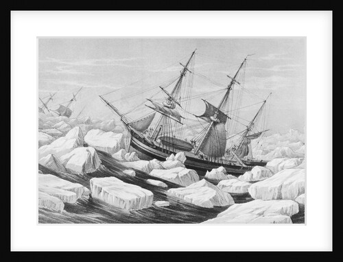 Sir James Clark Ross Antarctic Expedition by Anonymous