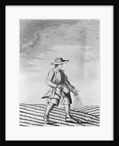 French Farmer Sowing Seeds by Anonymous