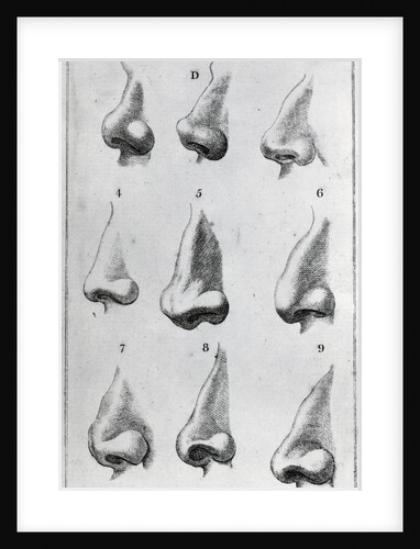 Engravings Depicting Various Noses by Anonymous