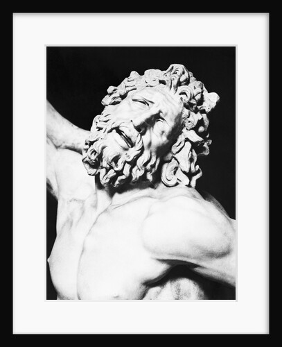Detail of the Head of Laocoon from The Laocoon Group by Anonymous