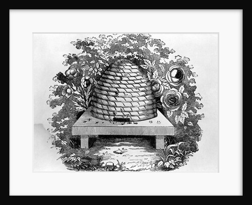 Woodcut Of A Beehive by Anonymous