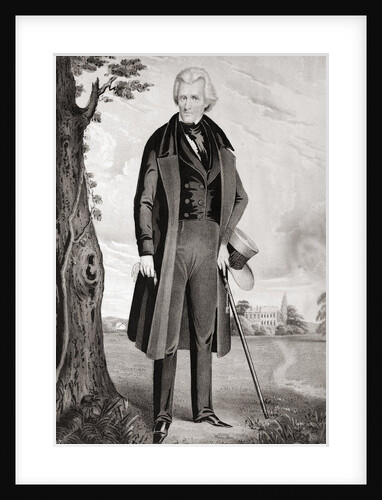Portrait of Andrew Jackson in Retirement by Anonymous