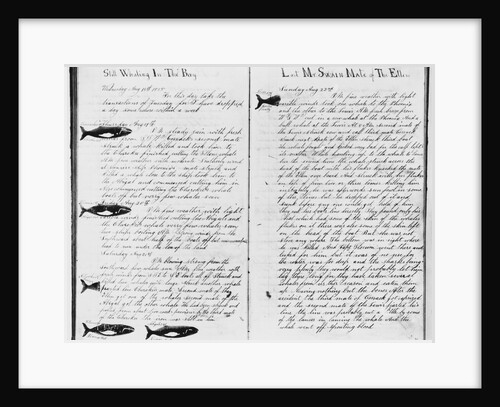 Log Book Pages from Whaling Ship by Anonymous