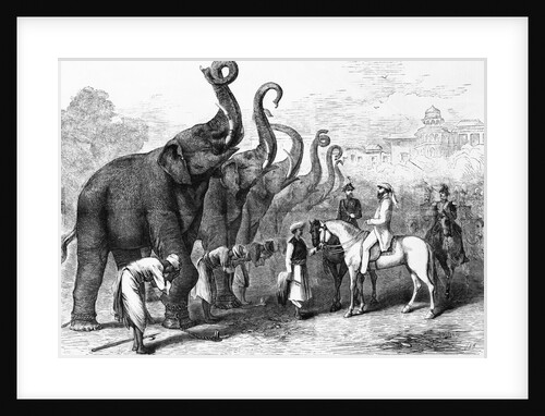 Prince Of Wales with Troops and Elephants by Anonymous