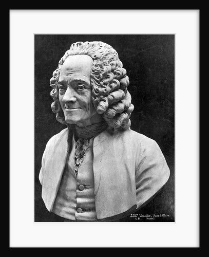 Bust Of Voltaire by Anonymous