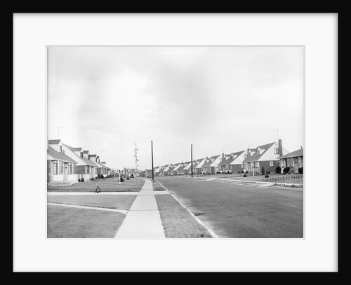 Houses In Levittown, Long Island by Anonymous