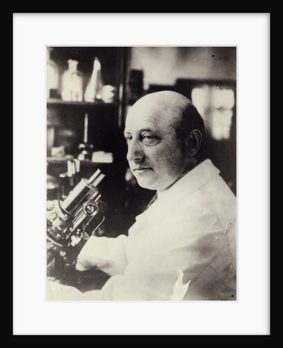 Portrait Of Dr. Richard Goldschmidt by Anonymous