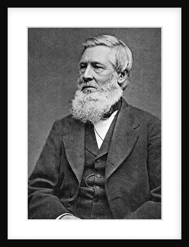Asa Gray American Botonist by Anonymous