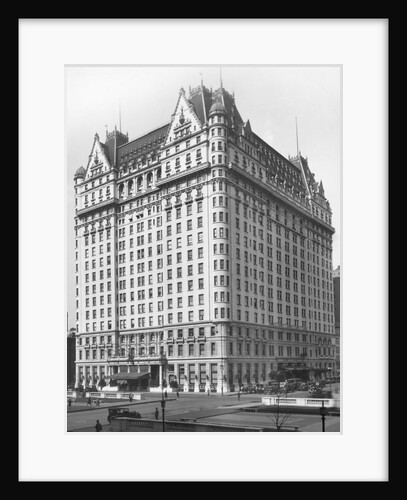 Plaza Hotel by Anonymous