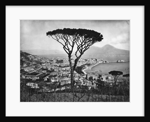 Panoramic Aerial View Of Naples by Anonymous