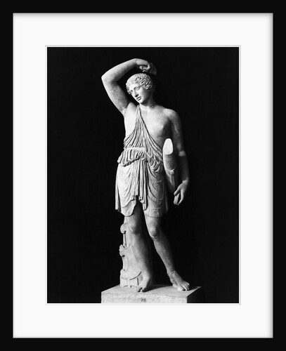 Amazon Statue In Vatican Museum by Anonymous