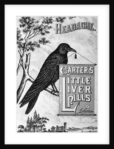 Carter's Little Liver Pills Advertisement Depicting a Crow by Anonymous