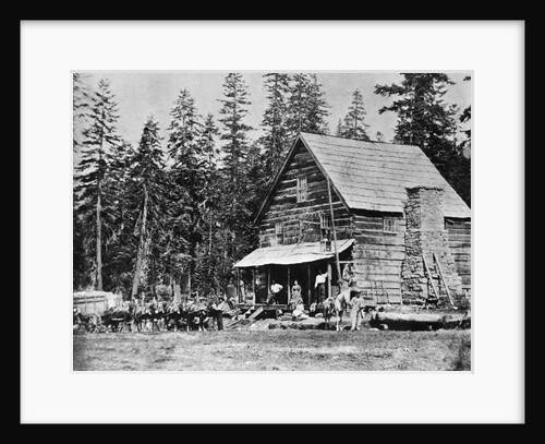 Log Cabin In Woods Used As Hotel by Anonymous